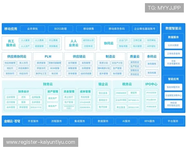 开云备用平台保障企业稳定运营的重要性与应用场景分析